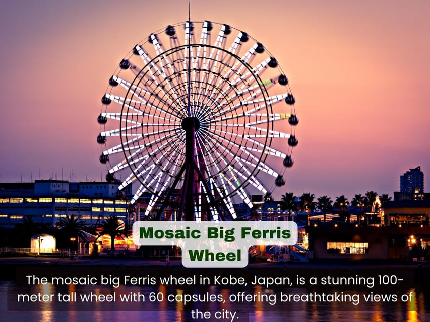 From Osaka: KOBE 1-Day TOUR With English Speaking Driver. - Participant Restrictions