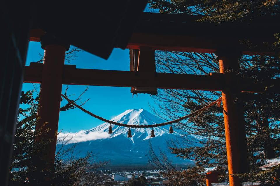 From Tokyo: Mt. Fuji or Hakone Private Sightseeing Day Trip - Contact for Customization