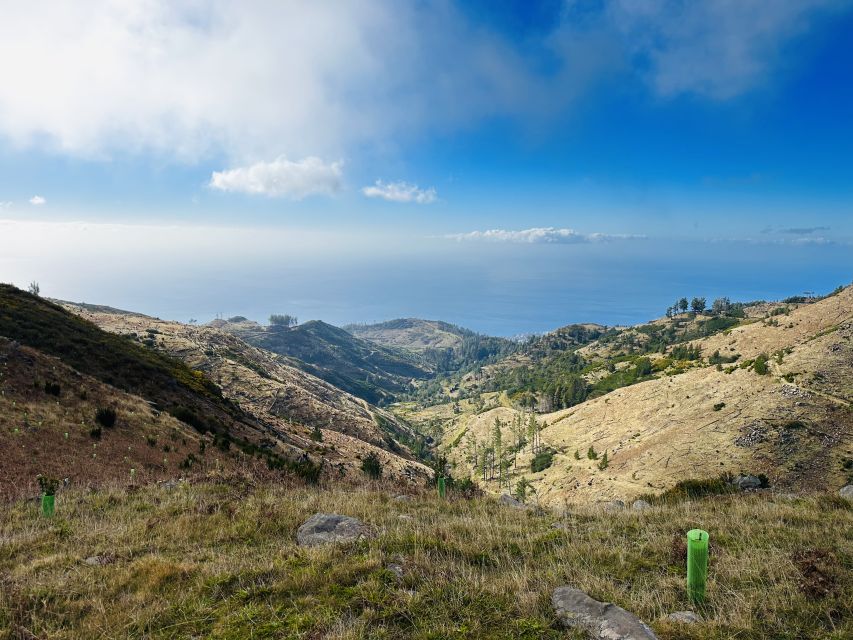 Funchal: East Madeira Island Guided Tour & Laurissilva Walk - Ponta De São Lourenço