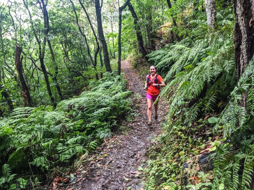 Funchal: Ocean to Mountain Running Tour - Scenic Ocean and Forest Views