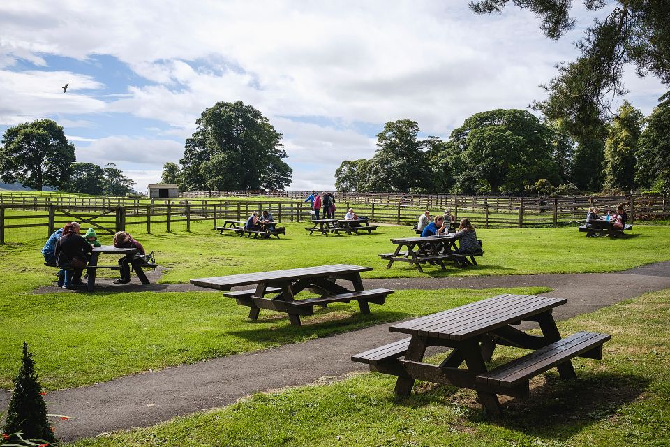 Hadrians Wall: Chesters Roman Fort and Museum Entry Ticket - Hours of Operation and Ticket Types