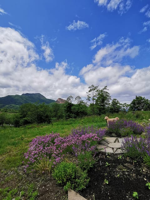 Hokkaido Nature and Gourmet Experience (near Lake Toya) - Free Cancellation and Booking