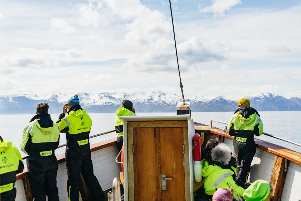 Húsavík: Whale Watching Tour With Guide - Contact and Additional Details