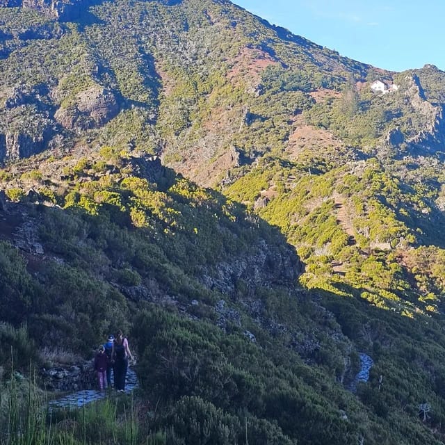 Madeira: PR1.2: Pico Ruivo Hiking Trail by Overland Madeira - Booking and Contact Information