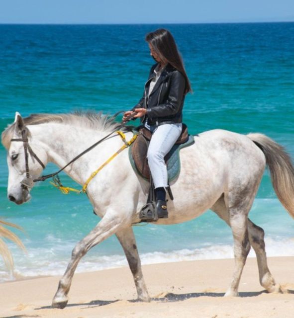 Melides: Horseback Riding on Melides Beach - Safety Considerations