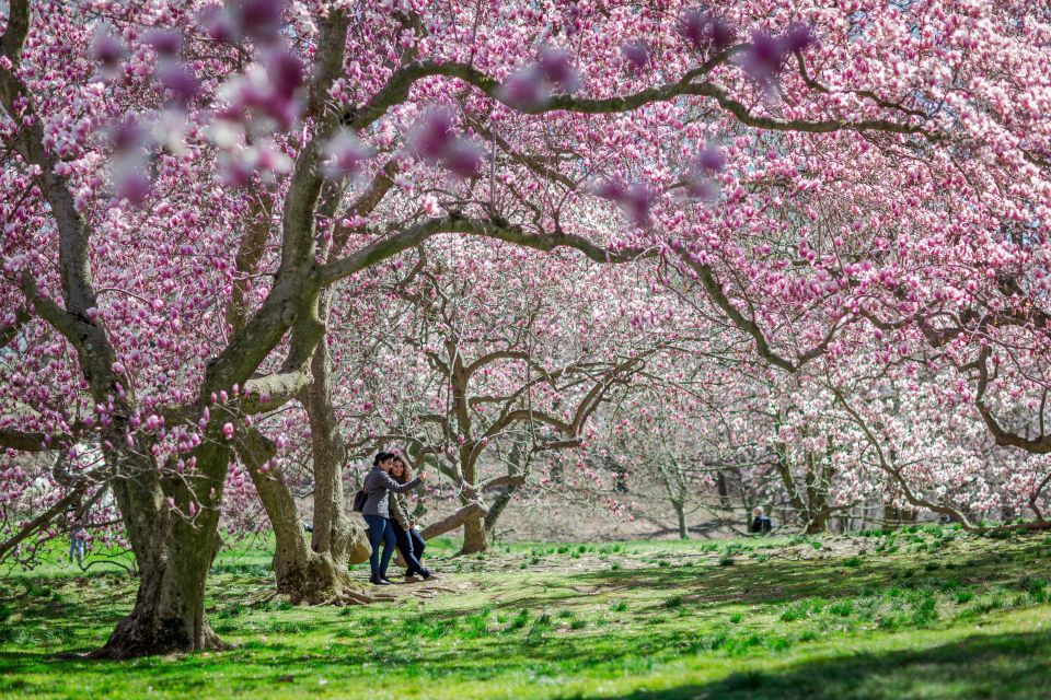 Nyc: New York Botanical All-Garden Pass Entry Ticket - Engaging With Knowledgeable Staff