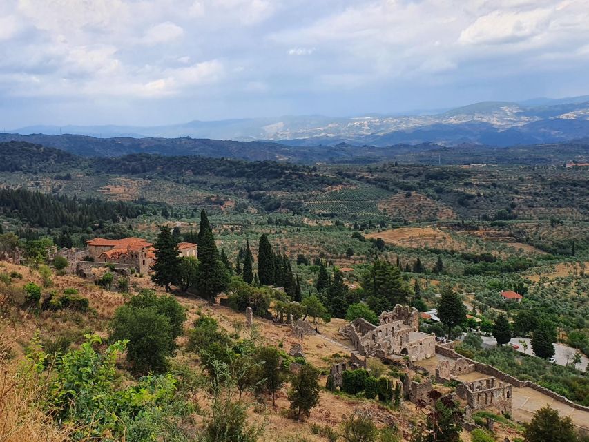 One Day Private Tour to Glory of Ancient Sparta and Mystras - Olive Oil Museum