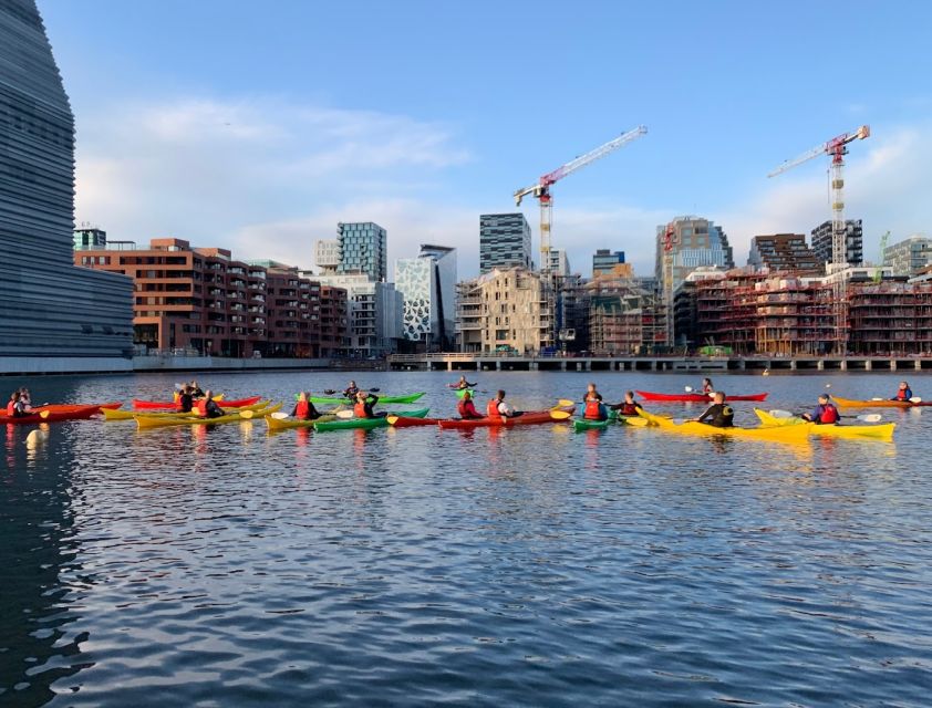 Oslo Kayak Tour "Fjord City" - What to Expect