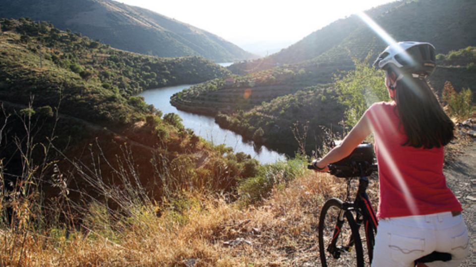 Portugal: Premium Bike Tour Atlantic Coast to Douro Valley - Transfer and Insurance