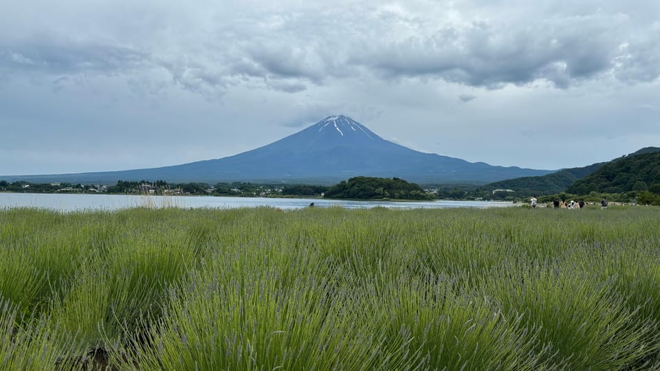 Private: Hakone and Kawaguchi in One Day Review - Flexible Itinerary and Accessibility