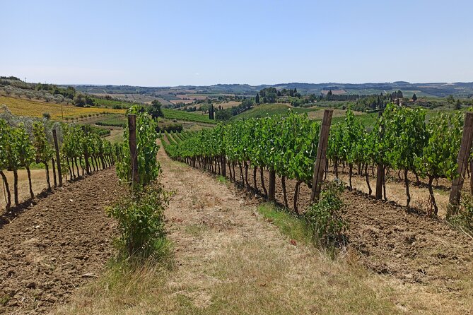 PRIVATE Tour: Chianti Afternoon TOUR With Visit to 2 Wine Farms - Private Chianti Afternoon Tour