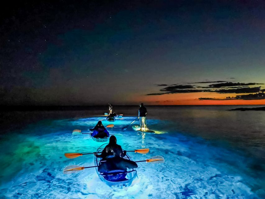 Pula: Night-Time Sea Kayaking Tour in Transparent Kayak - Customer Feedback and Ratings