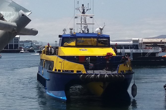 Robben Island Prison + Stellenbosch Wineries From Cape Town Incl Ferry Ticket - Customization Opportunities