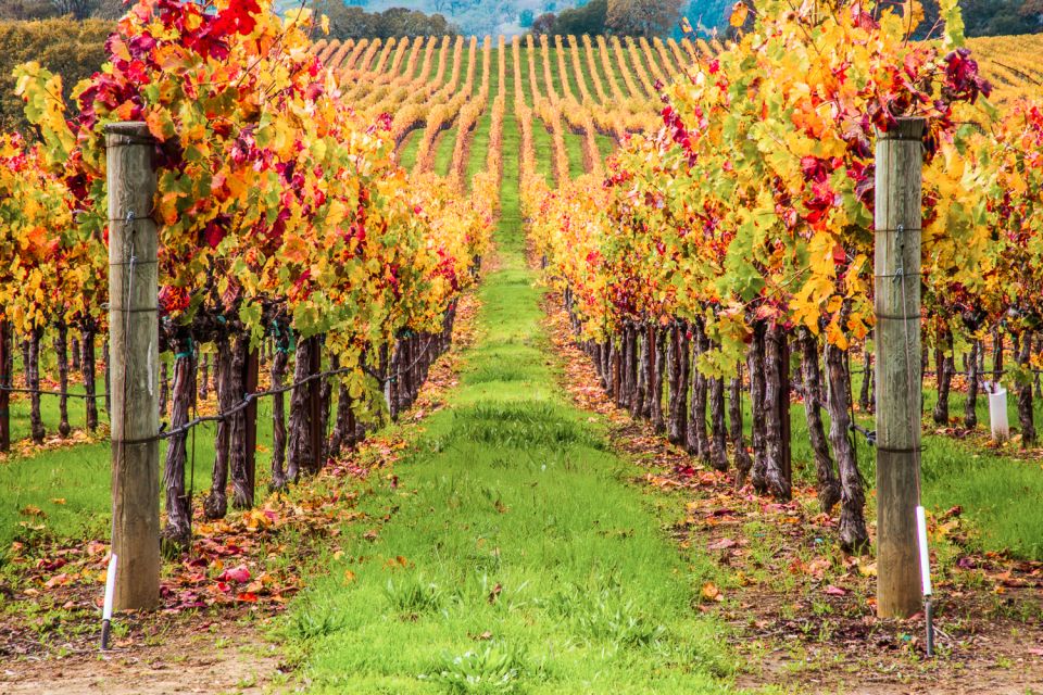 San Francisco: Small-Group Sonoma Wine Tour With Tastings - Inclusions and Exclusions