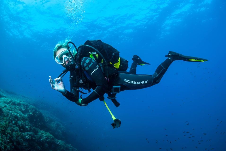 Santa Ponsa: Try Scuba Diving in a Marine Reserve - Things To Known