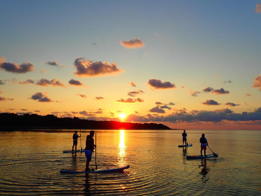 Stand Up Paddleboard: Amazing Sunrise at Mangrove River - Memorable Moments