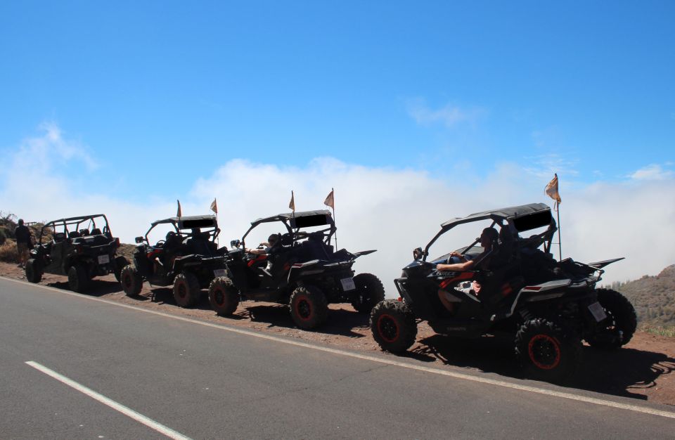 Tenerife: Teide National Park Guided Morning Buggy Tour - Park and Activity Details