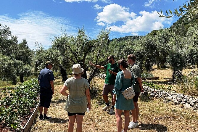 The Olive Oil Experience @ Lefkada Micro Farm - Important Notes