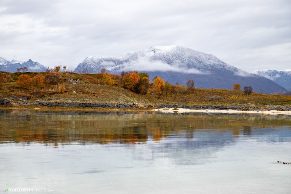 Tromsø: Fjord Photo Tour by Minibus - Cancellation and Booking Information