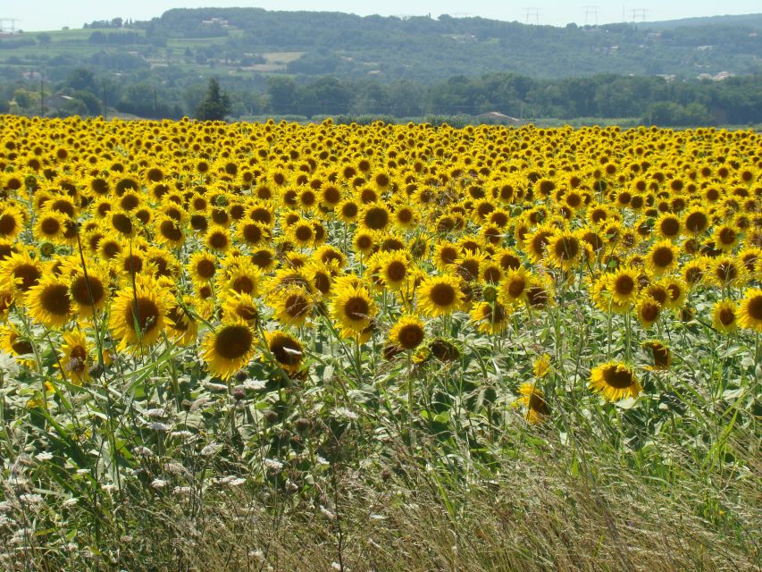 Bordeaux to Dordogne: Castles & Villages Private Tour - Frequently Asked Questions