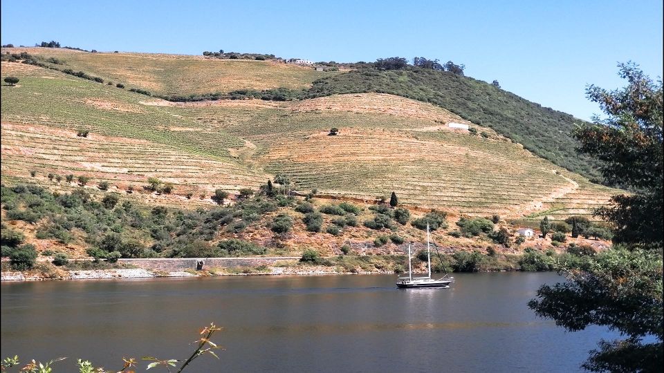 Foz Côa & Douro Private Tour: Rock Carvings and Superb Views - Frequently Asked Questions