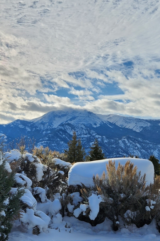 From Gardiner: Yellowstone National Park Snowshoe Tour - Frequently Asked Questions