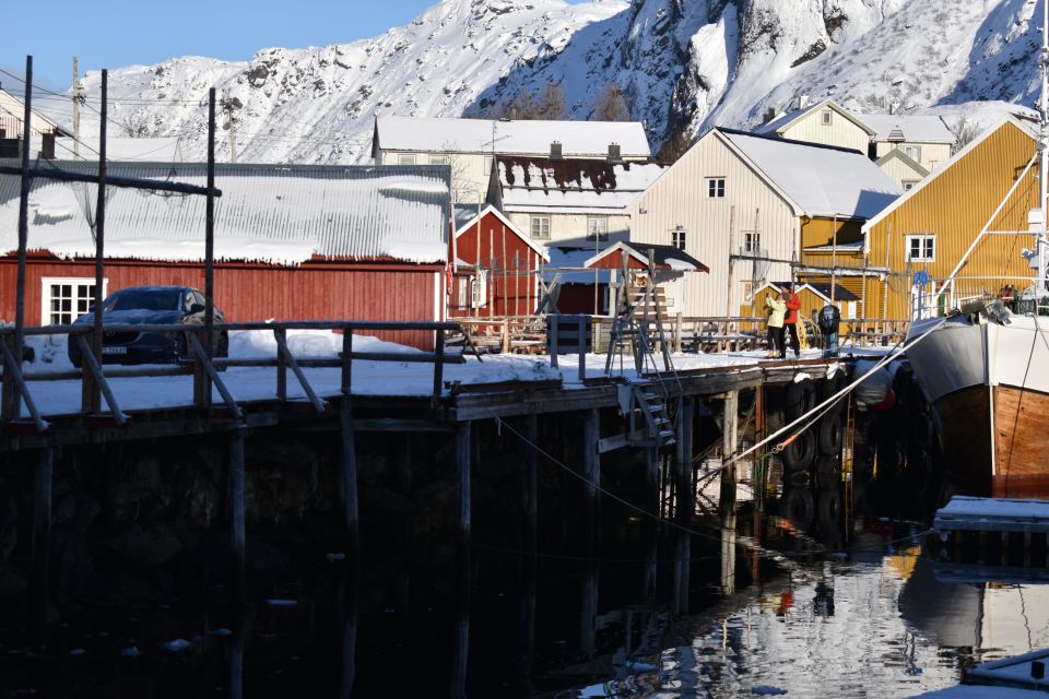 From Leknes: Private Lofoten Islands Tour With Transfer - Frequently Asked Questions