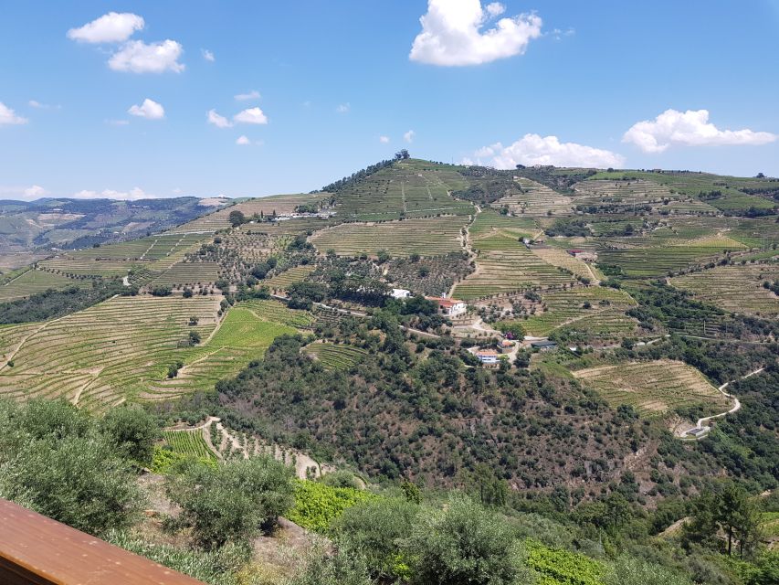 From Porto: Douro Valley 3 Vineyards Tour With Lunch - Frequently Asked Questions