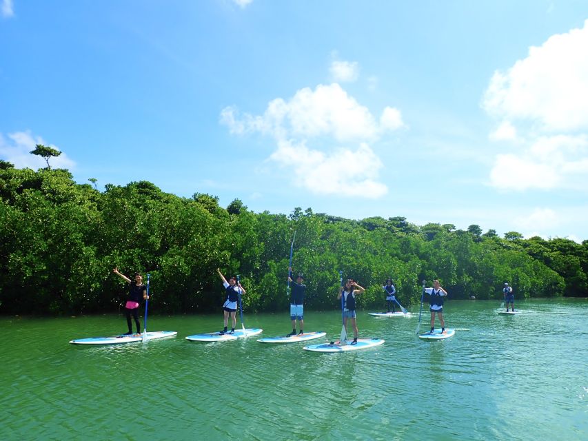 Ishigaki Island: SUP/Kayaking and Snorkeling at Blue Cave - Recap