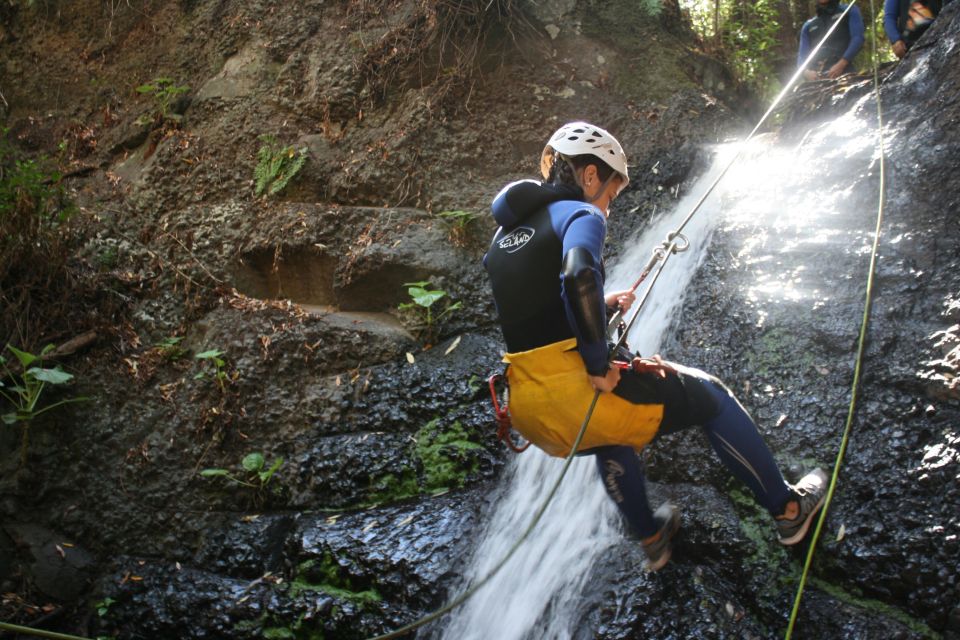 Las Palmas, Gran Canaria: Canyoning Adventure - Things To Known