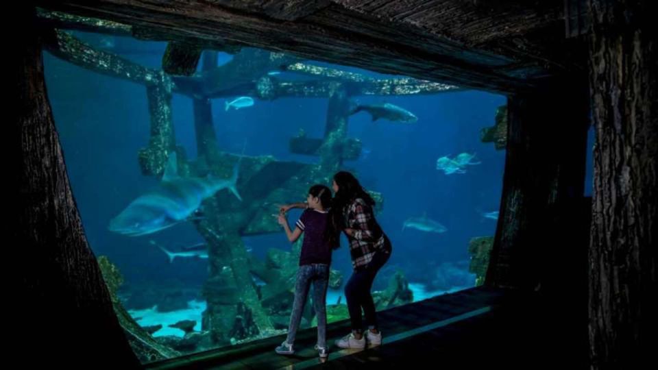 Las Vegas: Shark Reef Aquarium & VR Experience Entry Ticket - Frequently Asked Questions