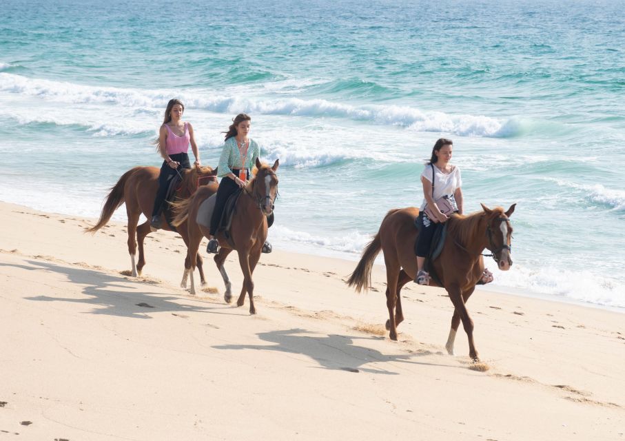 Melides: Horseback Riding on Melides Beach - Frequently Asked Questions