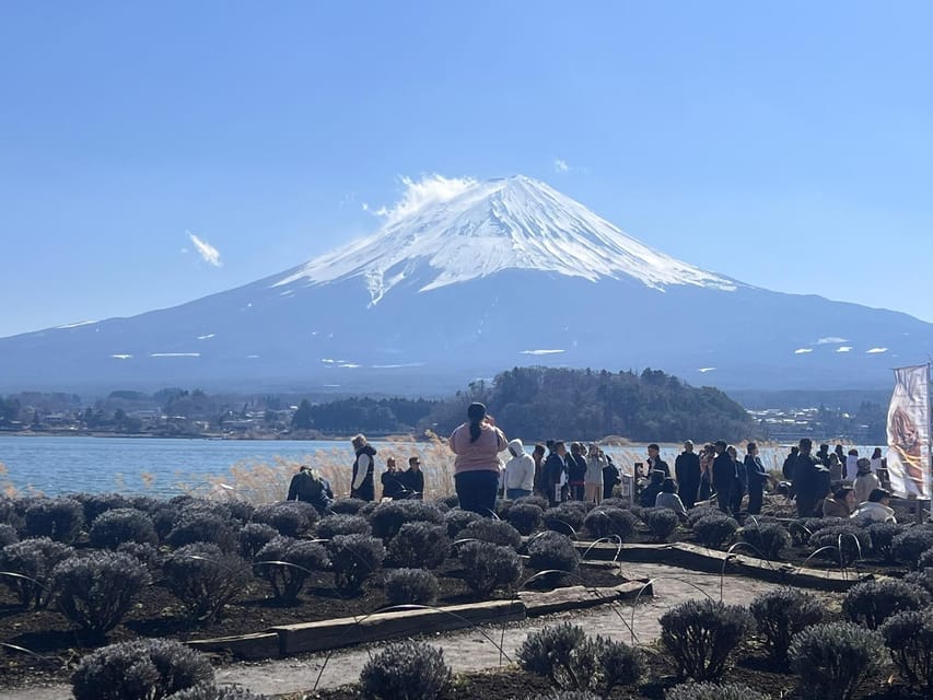 Mount Fuji,Hakone Private Tour by Car With Pick up - Frequently Asked Questions