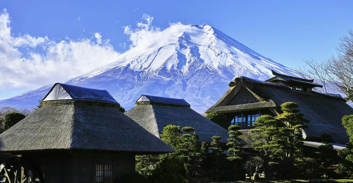 Mt Fuji: Full Day Private Tour From Tokyo by Luxury Vehicle - Itinerary Highlights