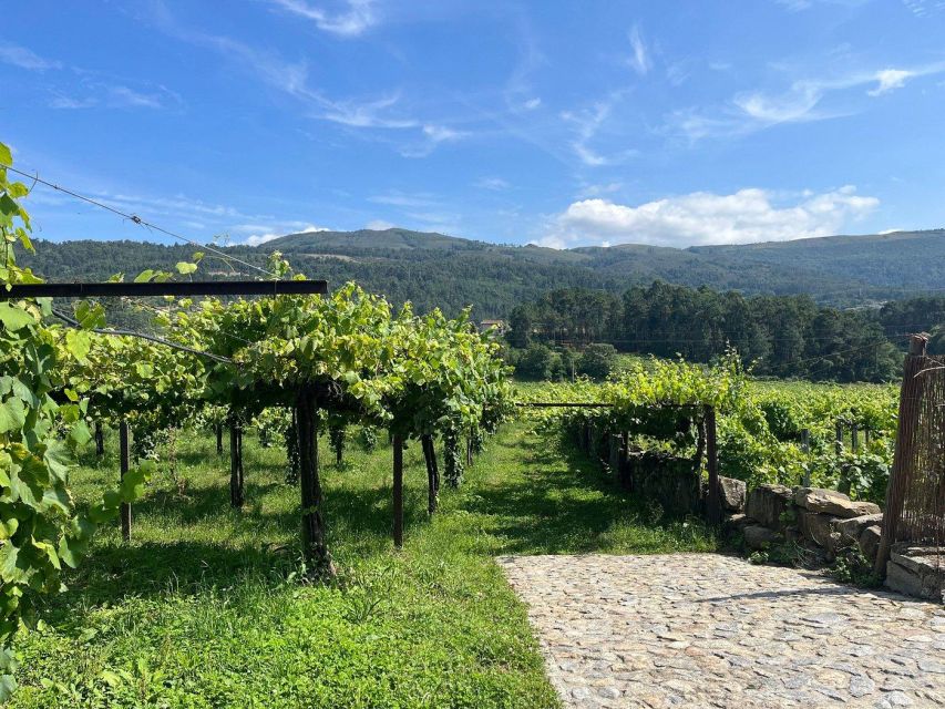 Private Alvarinho Route Tour - Frequently Asked Questions