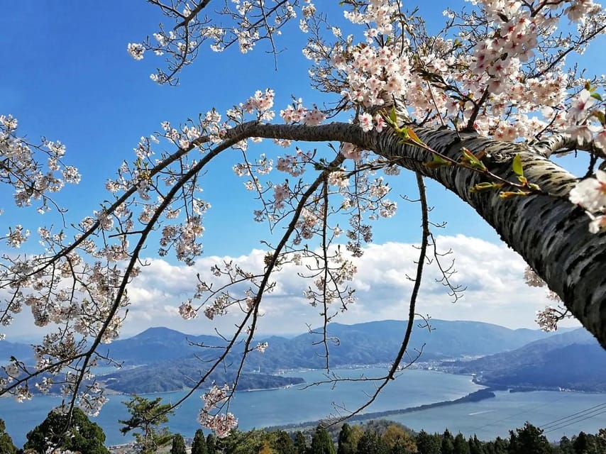 Private Customized Tour in Amanohashidate and Ine-Cho Area - Frequently Asked Questions