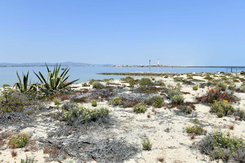 Ria Formosa: Sightseeing Boat Tour From Olhão - Frequently Asked Questions