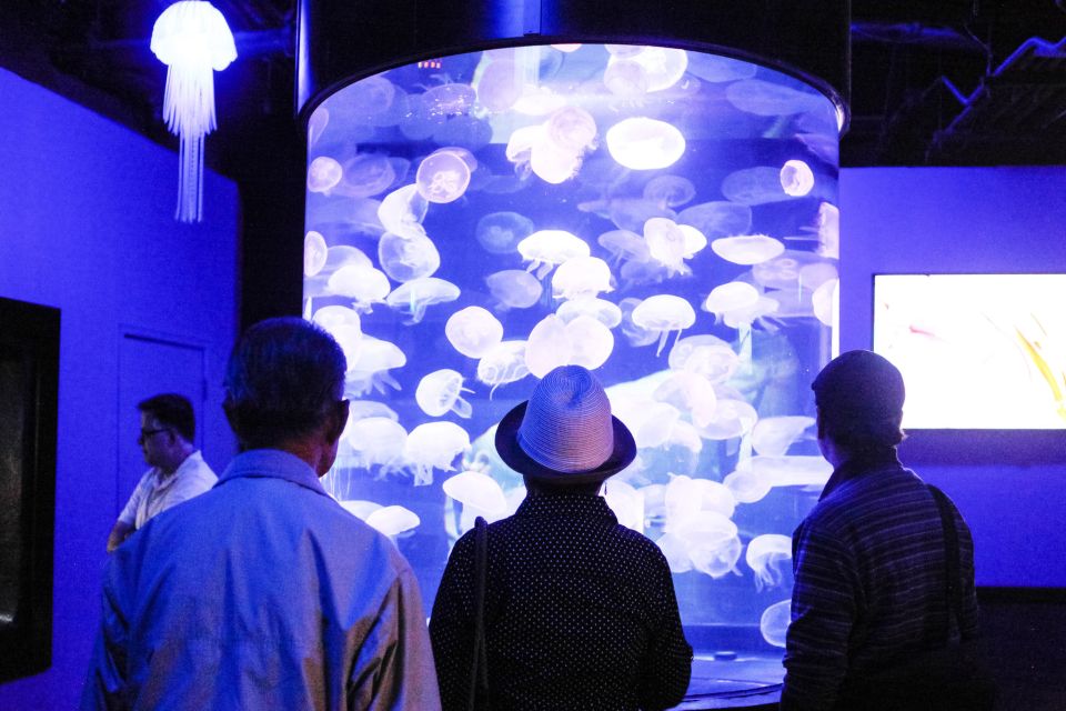 San Francisco: Aquarium of the Bay General Admission Ticket - Frequently Asked Questions