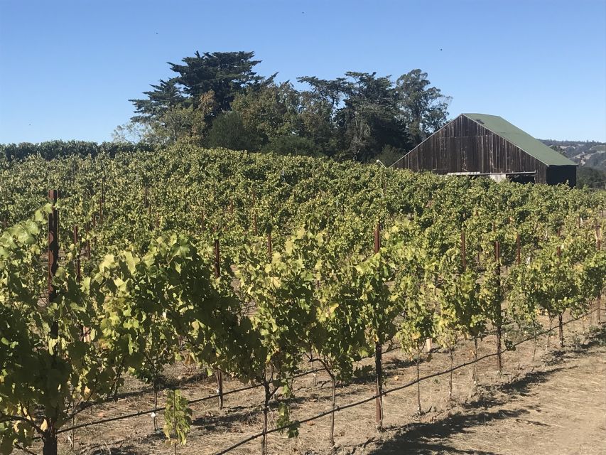 San Francisco: Small-Group Sonoma Wine Tour With Tastings - Frequently Asked Questions