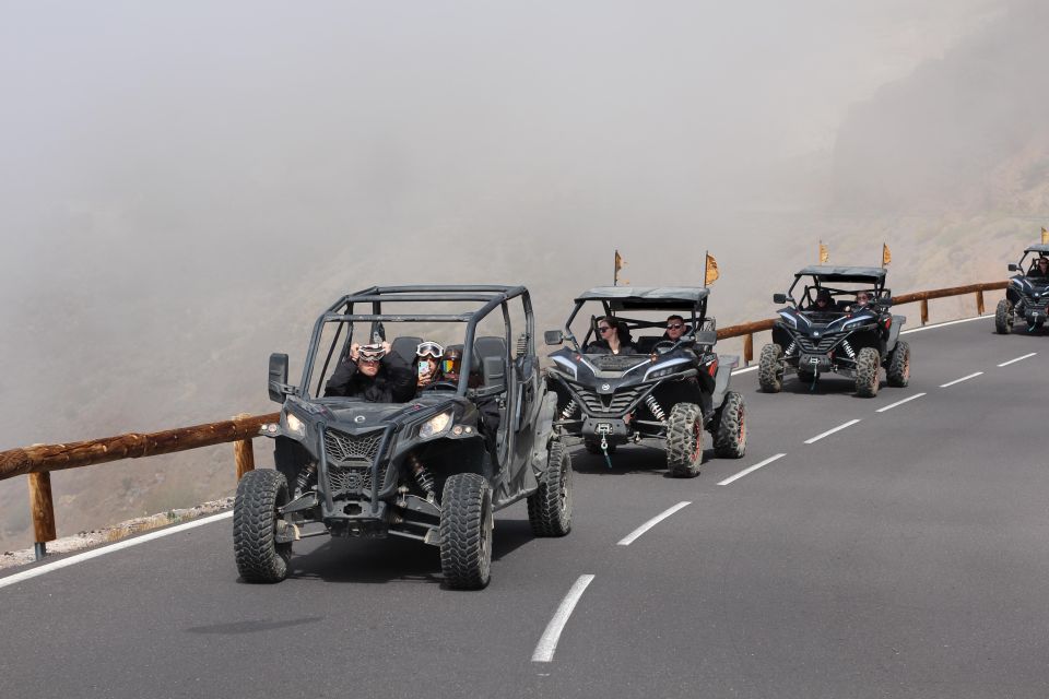 Tenerife: Teide National Park Guided Morning Buggy Tour - Things To Known