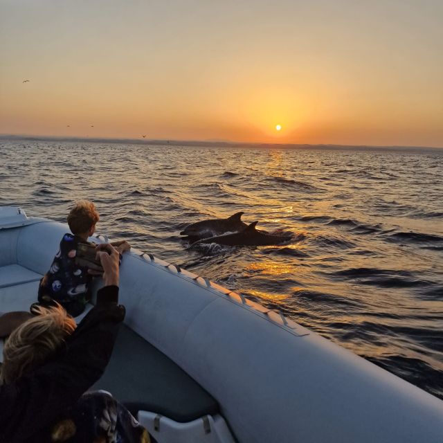 Vrsar: Dolphin Sunrise Adventure With Speedboat - Frequently Asked Questions