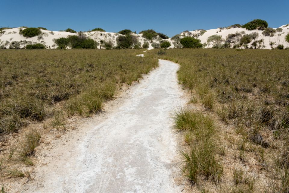 White Sands NP Self-Guided Driving & Walking Tour - Frequently Asked Questions