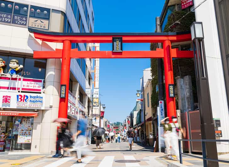 A Tour to Eat up All the Delicacies of Japan in Kamakura - Unique Souvenirs Exploration