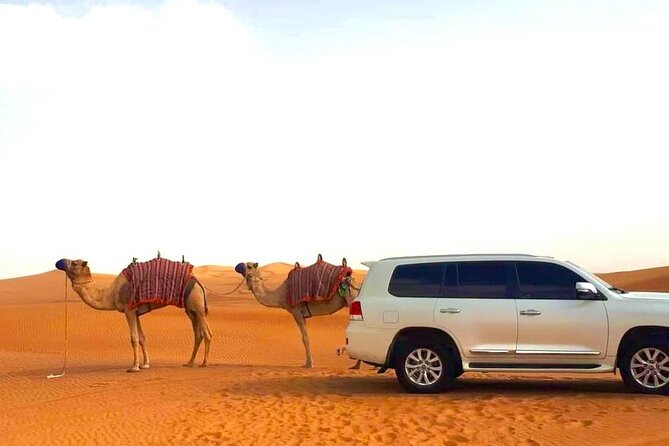 Agadir Desert Safari Day Tour With Lunch - Key Points