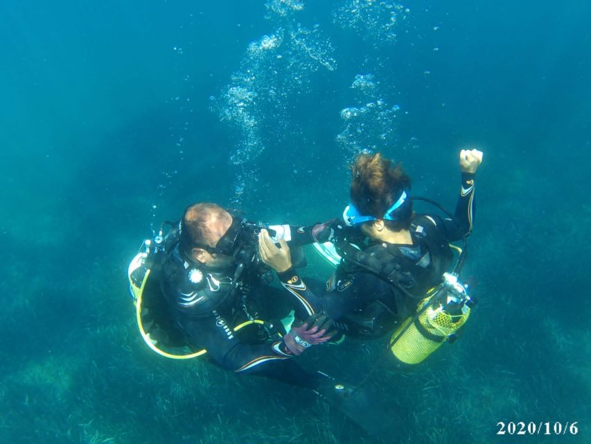 Alicante: Denia Beginners Scuba Diving Experience - Key Points