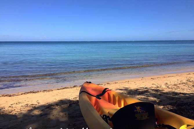 All Day Kayak Rental in Puerto Rico - Key Points