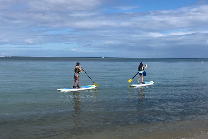 All Day PaddleBoard Rental - Key Points