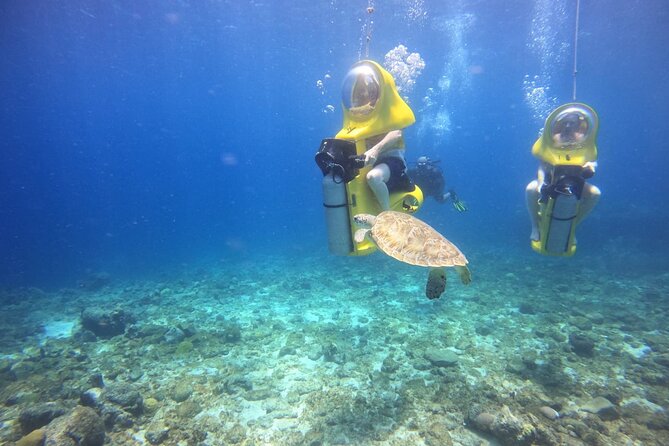 Aquafari Tour in Curacao - Key Features of the Aquafari Experience