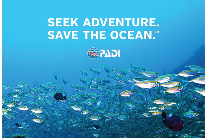 Aruba PADI Scuba Diving Program Non Certified Divers - Overview of the Program