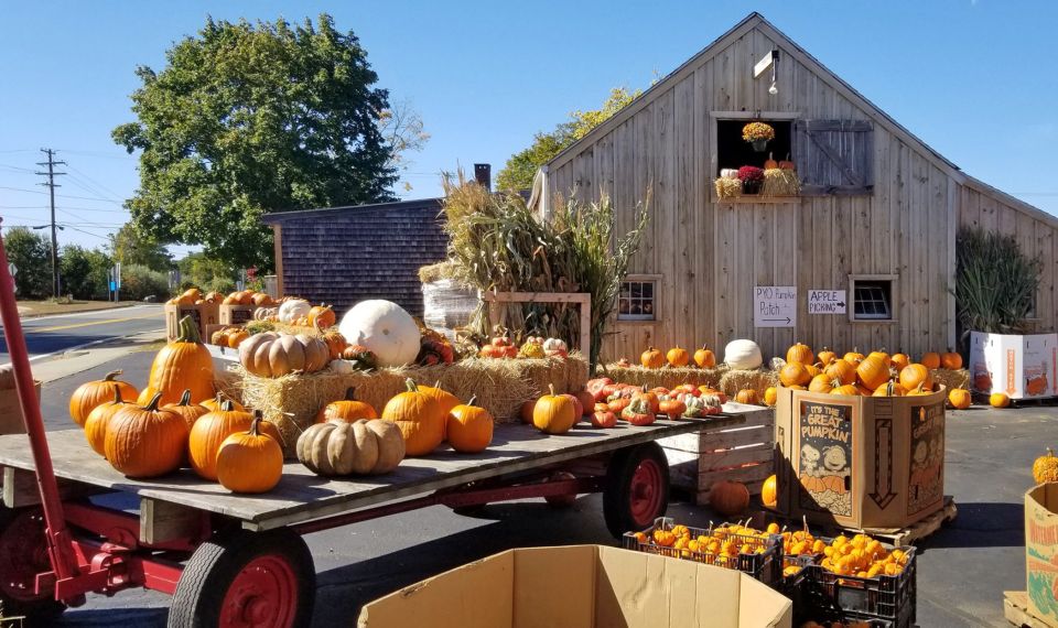 Autumn in New England - Key Points